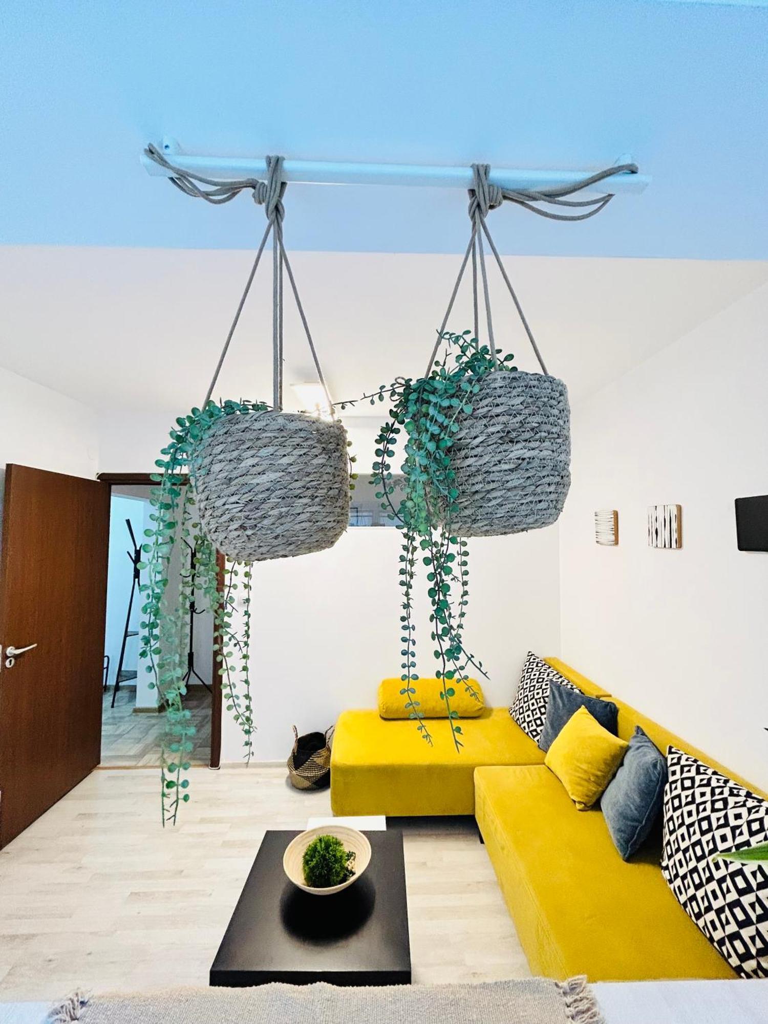Alisz Apartments Timişoara Buitenkant foto