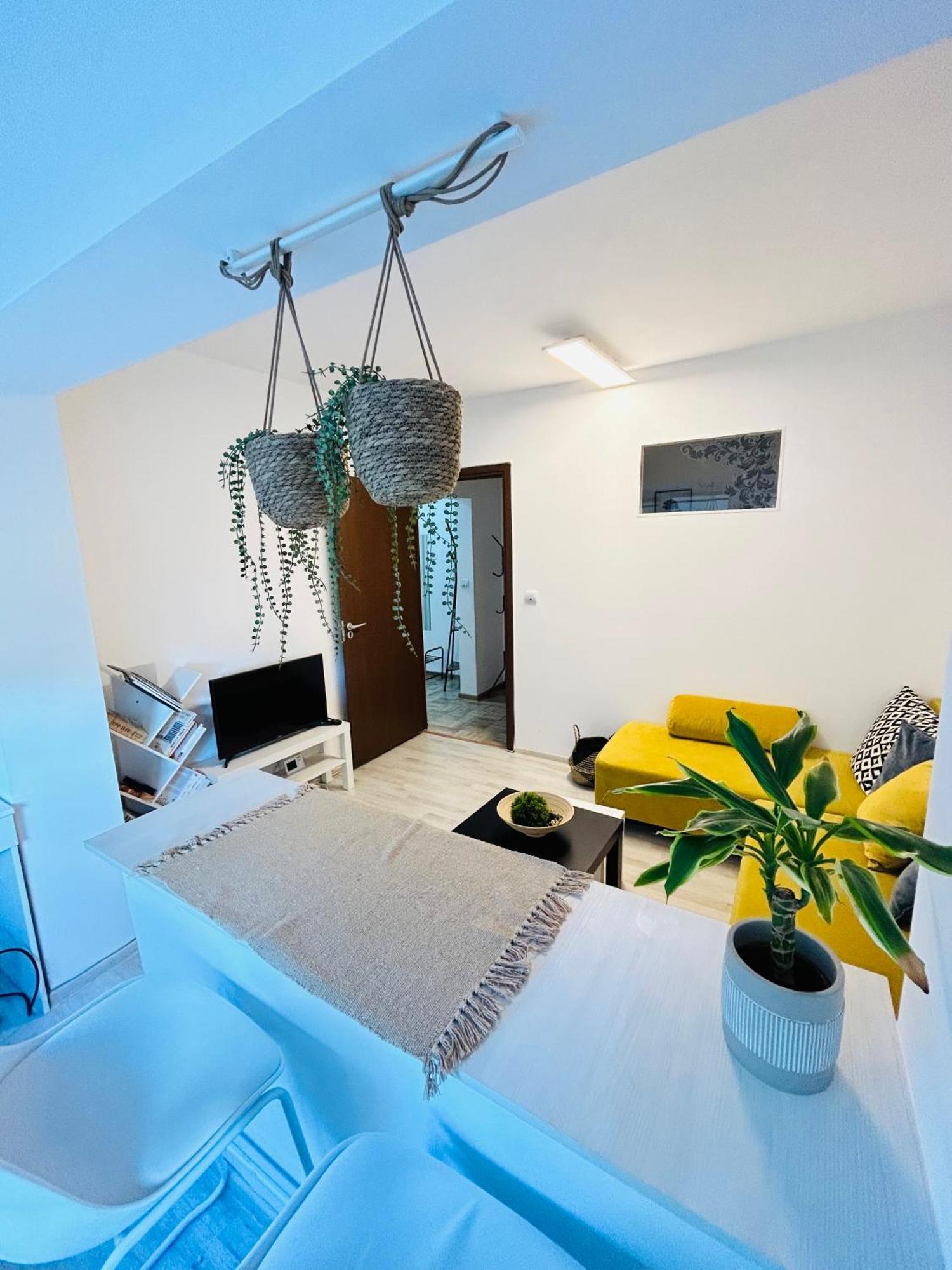 Alisz Apartments Timişoara Buitenkant foto