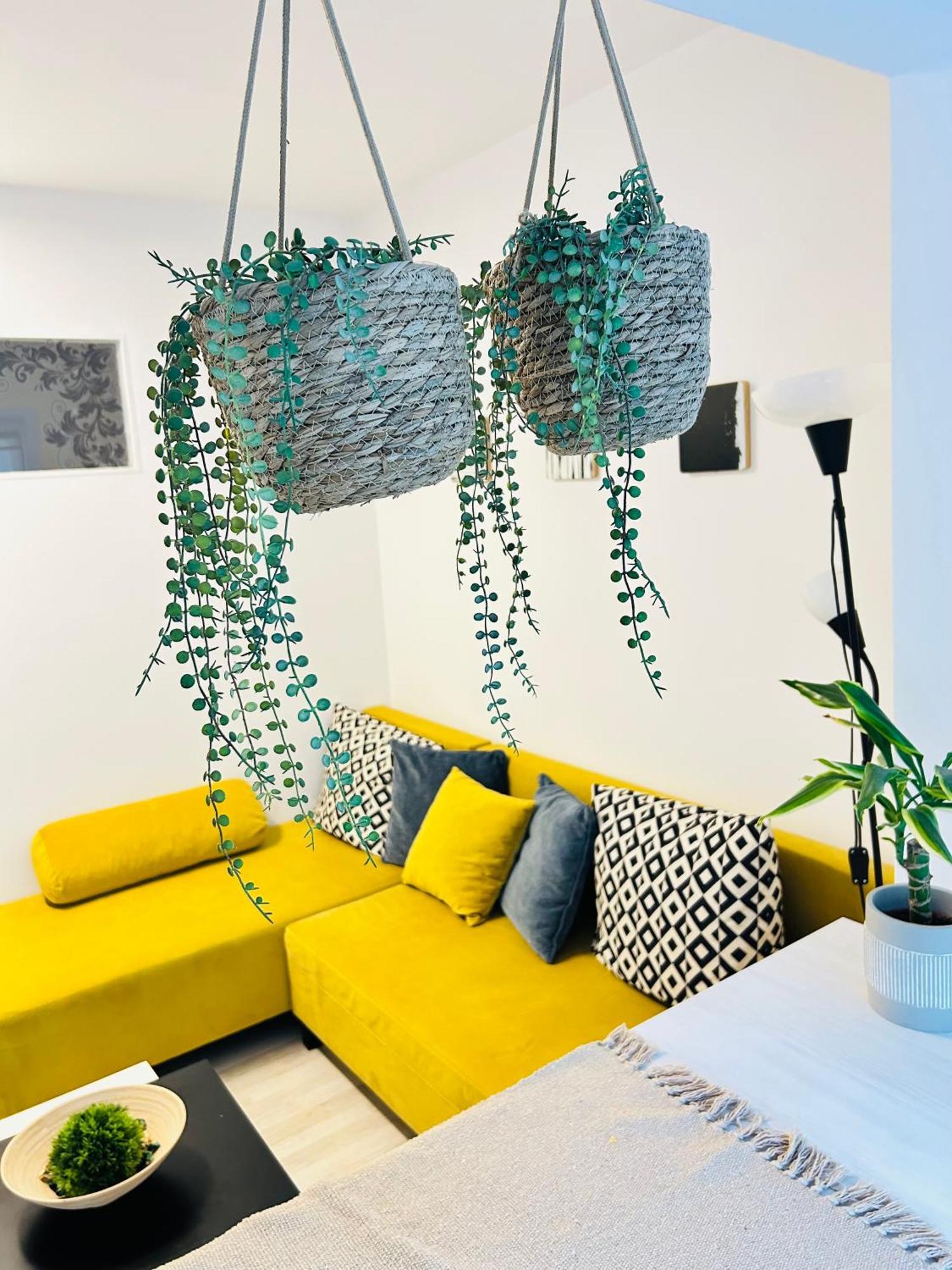 Alisz Apartments Timişoara Buitenkant foto