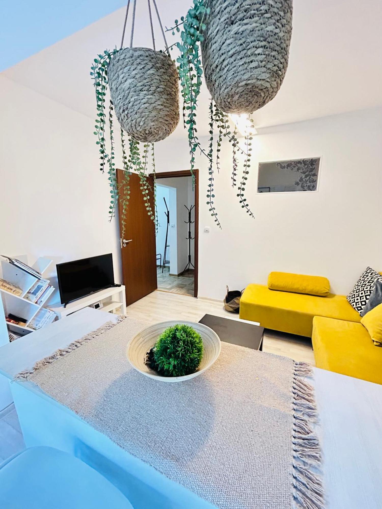 Alisz Apartments Timişoara Buitenkant foto