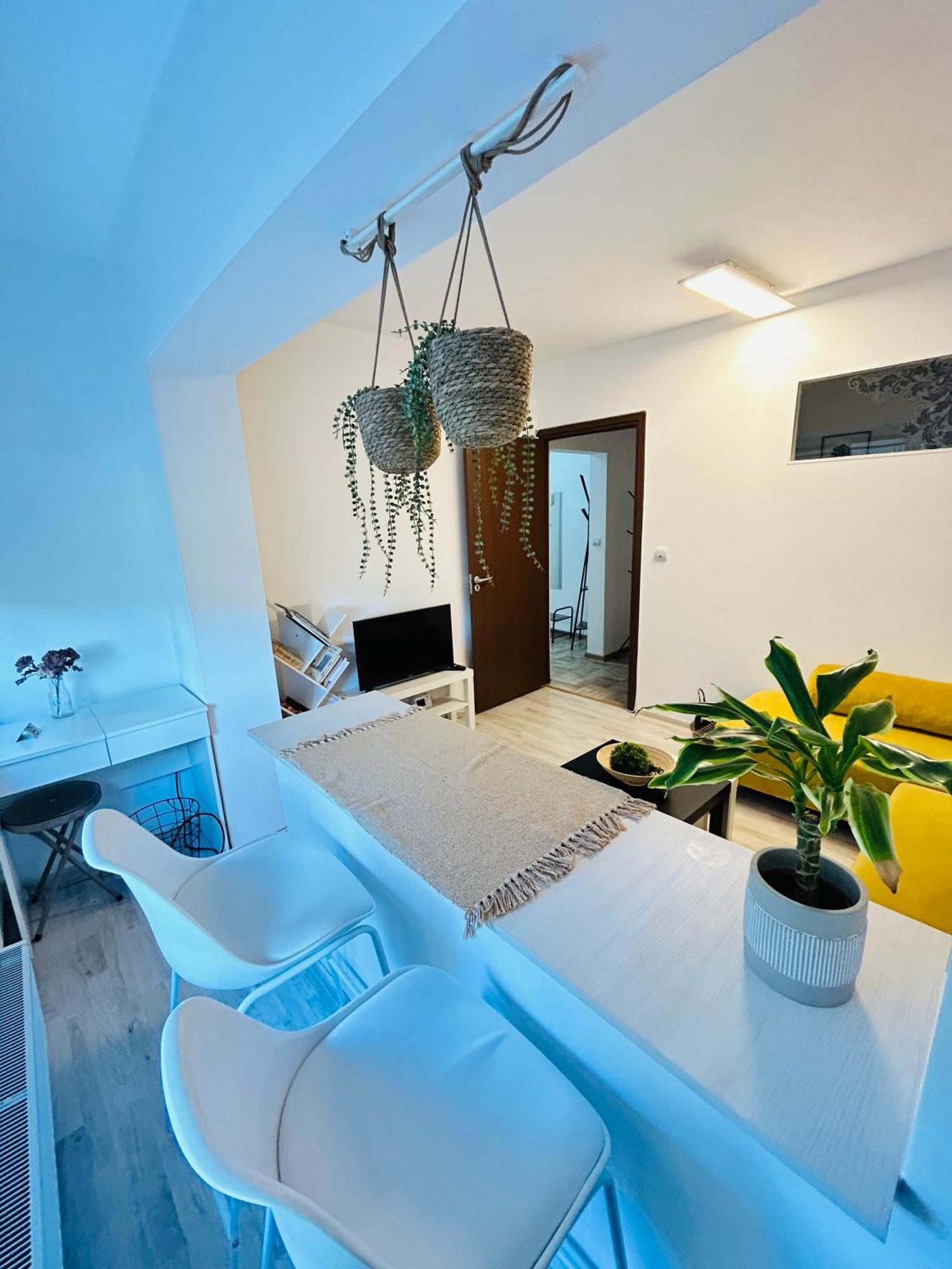 Alisz Apartments Timişoara Buitenkant foto